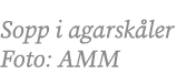 Sopp i agarsk ler Foto: AMM