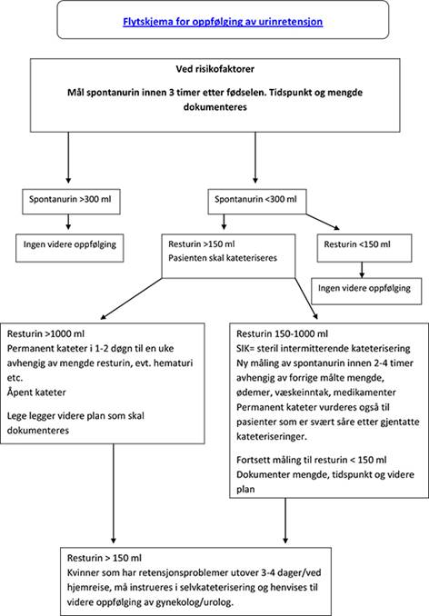 https://legeforeningen.no/PageFiles/171278/flytskjema-kap47.jpg